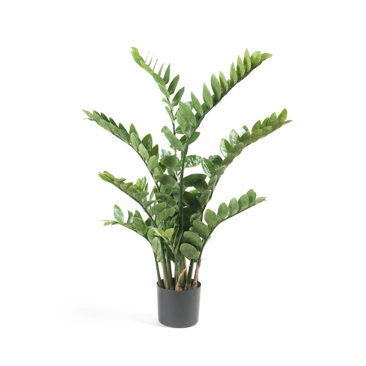 Kunstpflanze – Zamioculcas – Stadtpalme – 110 cm von Green boutiQ