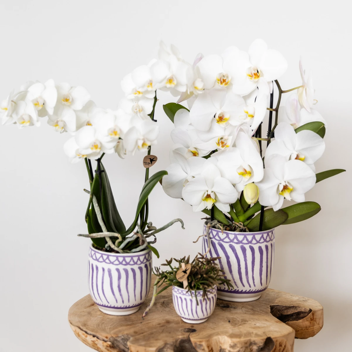 Kolibri Home | Granada - Lilac - Ø9cm by Kolibri Company