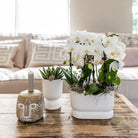 Hummingbird Home | Diabolo pot white - Ø12cm by Kolibri Company