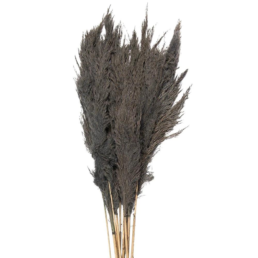 Getrocknete Blumen Bambus 100 cm (10) von Clayre & Eef.