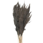 Getrocknete Blumen Bambus 100 cm (10) von Clayre & Eef.