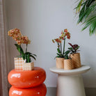Hummingbird Home | Candy decorative pot | High - Peach - Ø6cm by Kolibri Company