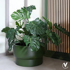 Plant Pot - Nyborg Green by Vase The World