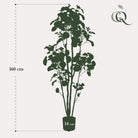 Kunstplant - Polyscias - Aralia - 160 cm by Green boutiQ