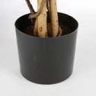 Artificial plant Maple Red by Mica Decorations