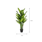 Artificial plant Dieffenbachia Green by Mica Decorations