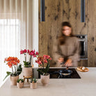 Kolibri Home | Bali sierpot - Sand - Ø9cm by Kolibri Company