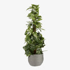 Plant basket set Jorck Gray by Mica Decorations