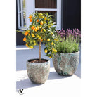 Plant pot - Laki Relic Jade Set Ø36/25 x H34/25 cm - (set of 2 pieces) by Vase The World