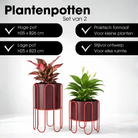 Flowerpot inside Dione Purple by Mica Decorations