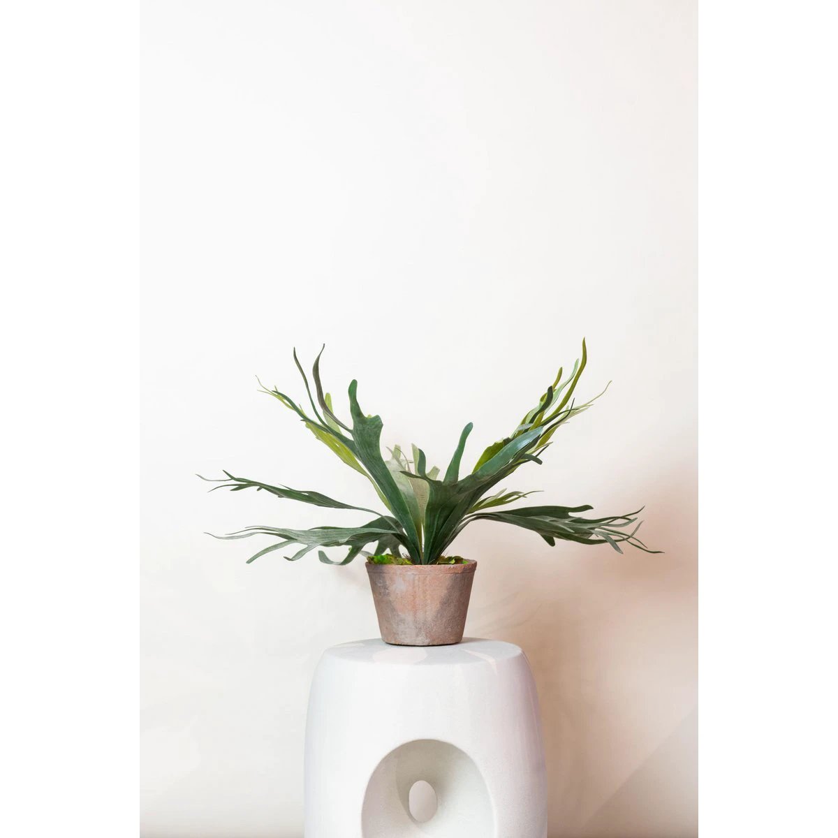 Kunstplant - Staghorn Fern - Hertshoorn - 50 cm by Green boutiQ
