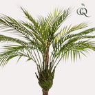 Art plant - Chamaedorea - Bergpalm - 85 cm by Green boutiQ