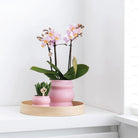 Kolibri Home | Decoration scale - Round even bamboo tray Ø30cm by Kolibri Company