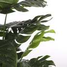 Artificial plant Monstera green by Mica Decorations