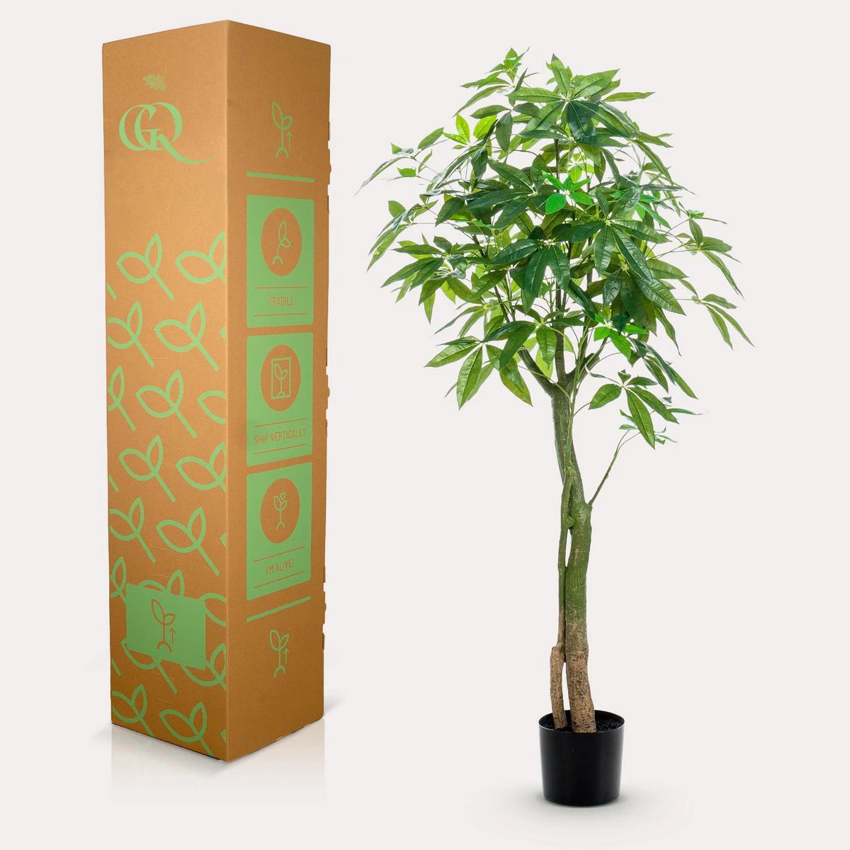 Artificial plant - Pachira Aquatica - Money tree - 150 cm by Green boutiQ