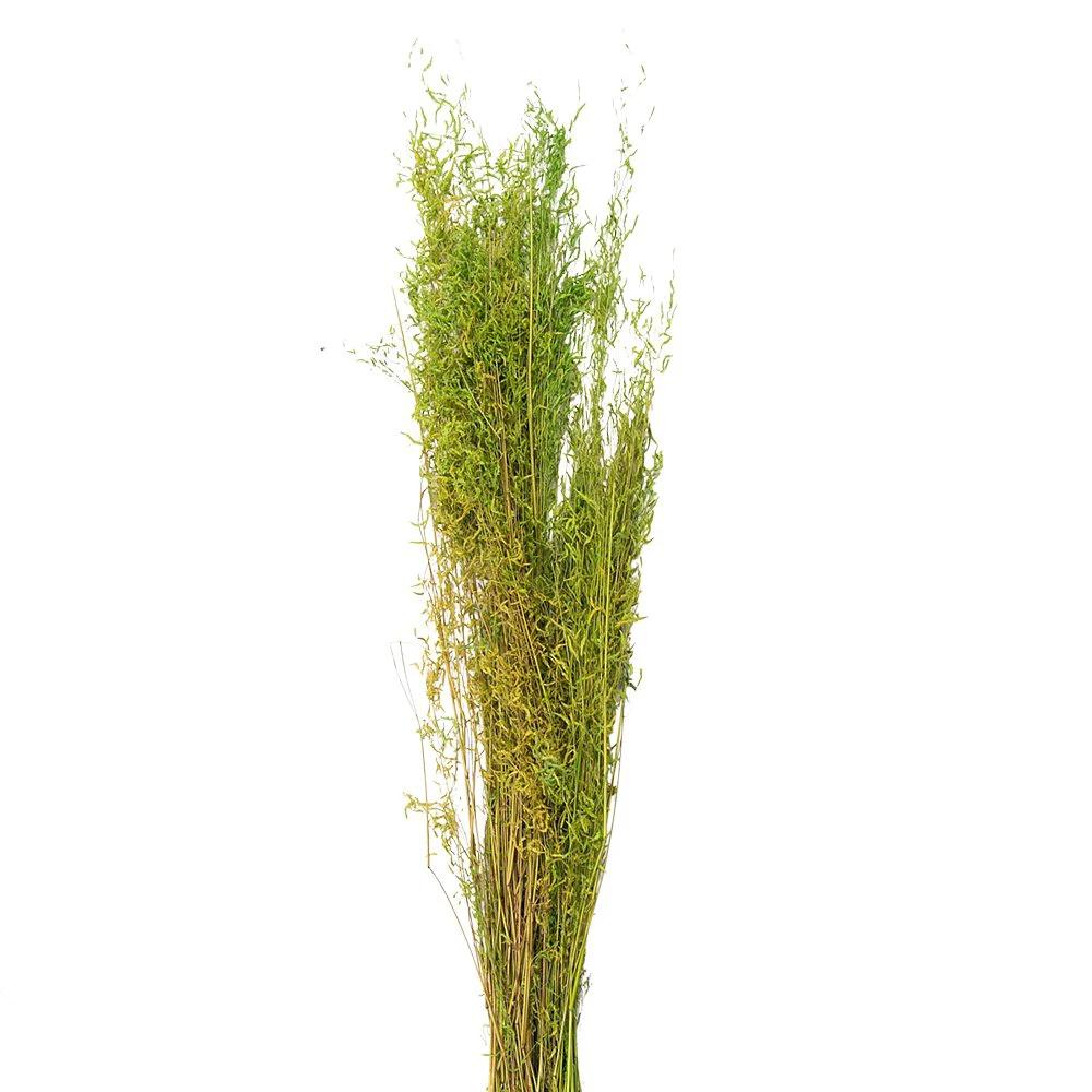 Droogbloemen 90 cm (50 gr) by Clayre & Eef.