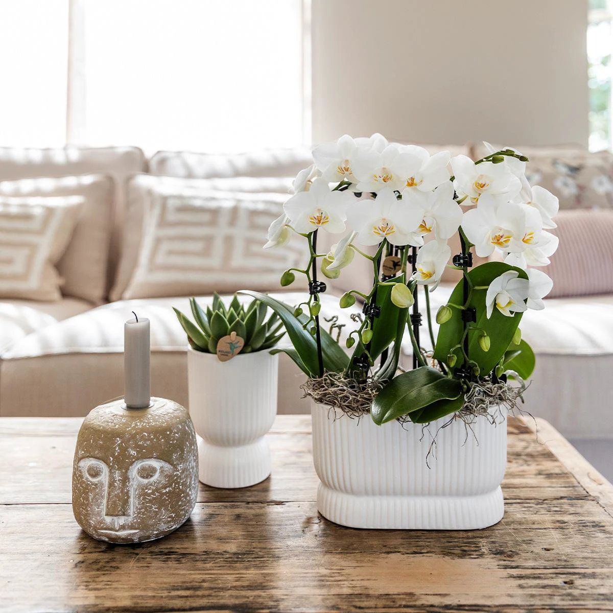 Hummingbird Home | Diabolo pot white - Ø9cm by Kolibri Company