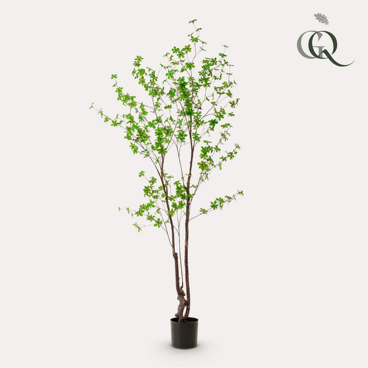 Kunstplant - Tropseolum - Oost Indistent - 210 cm by Green boutiQ
