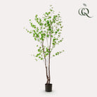 Kunstplant - Tropseolum - Oost Indistent - 210 cm by Green boutiQ