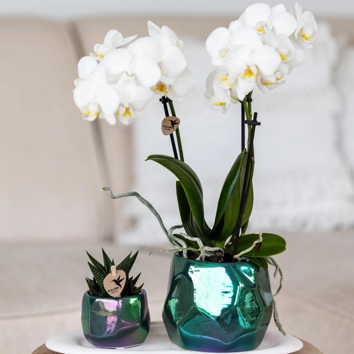 Kolibri Home I Pearl pot - Green - Ø9cm by Kolibri Company