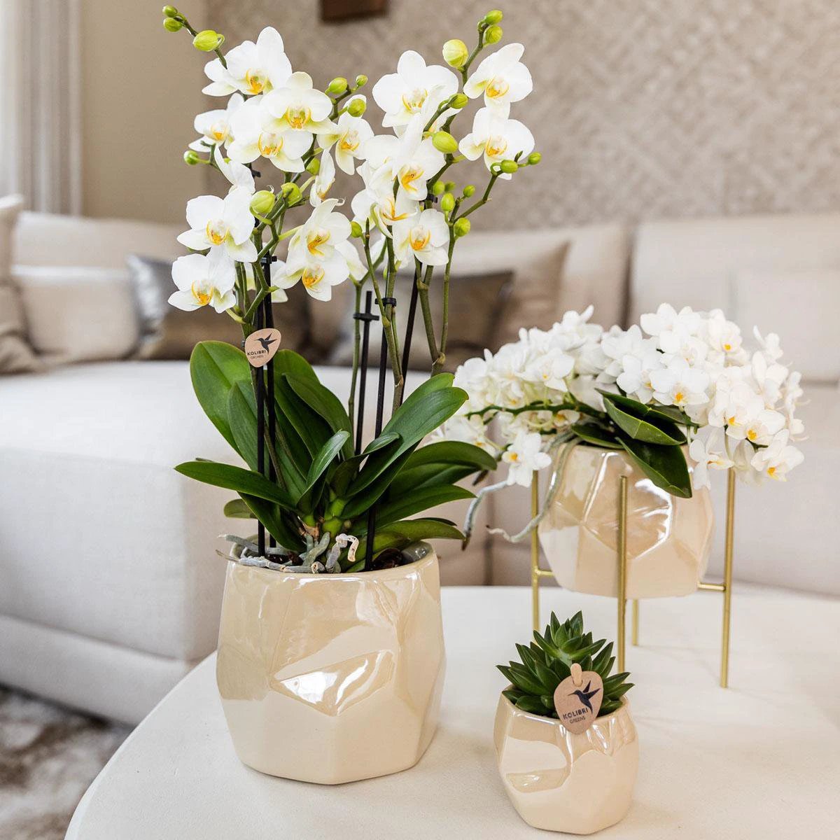 Kolibri Home | Combi deal - Pearl travertine potten by Kolibri Company