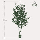 Artificial plant - Eucalyptus - Blue Gum Tree - 180 cm by Green boutiQ