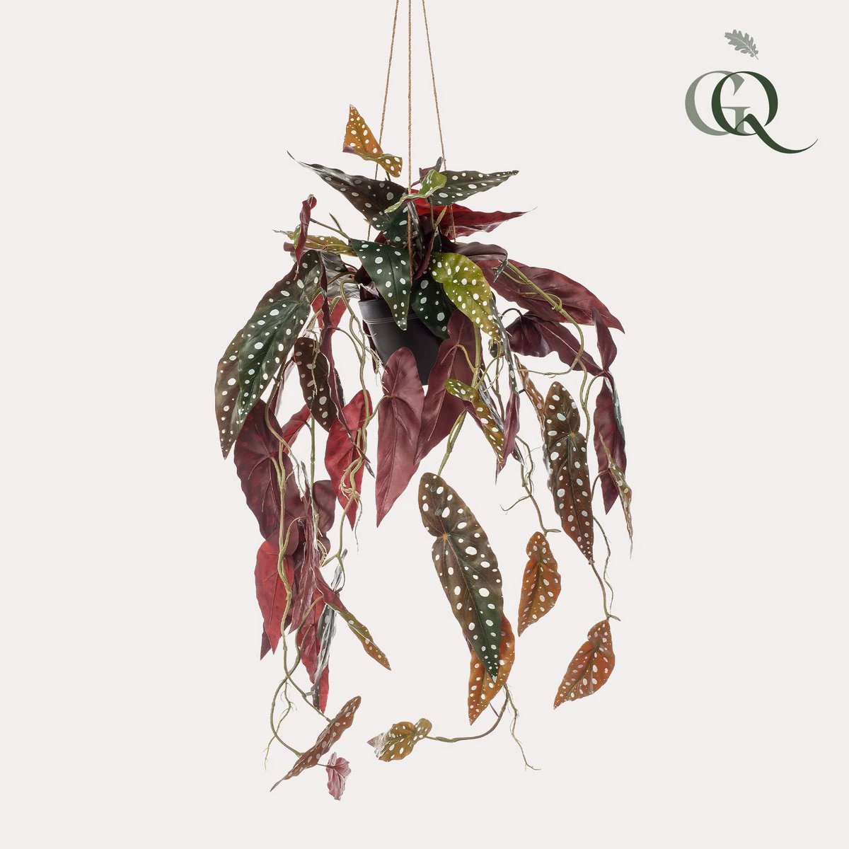 Kunstplant - Begonia Maculata - Stippenbegonia - 80 cm by Green boutiQ