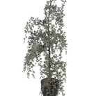 Artificial plant 40x40x85 cm Green Plastic by Clayre & Eef.