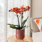 Kolibri Home | Diamond pearl sierpot - Red - Ø9cm by Kolibri Company