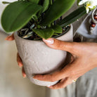 Kolibri Home | Rustic sierpot - Sand - Ø9cm by Kolibri Company