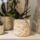 Kolibri Home | Star Fish sierpot - Off White - Ø9cm by Kolibri Company
