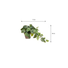 Artificial hanging plant Scindapsus Green by Mica Decorations