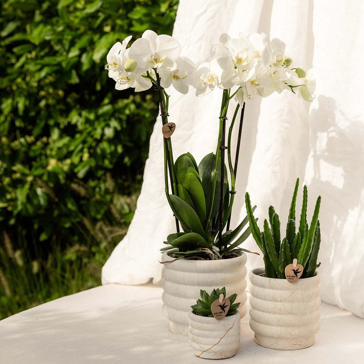 Kolibri Home | Marble pot - Light - Ø12cm by Kolibri Company
