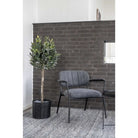 Olive Tree - Green, PE Plastic/Polyester, 43x47x120 cm by EMIRELLE