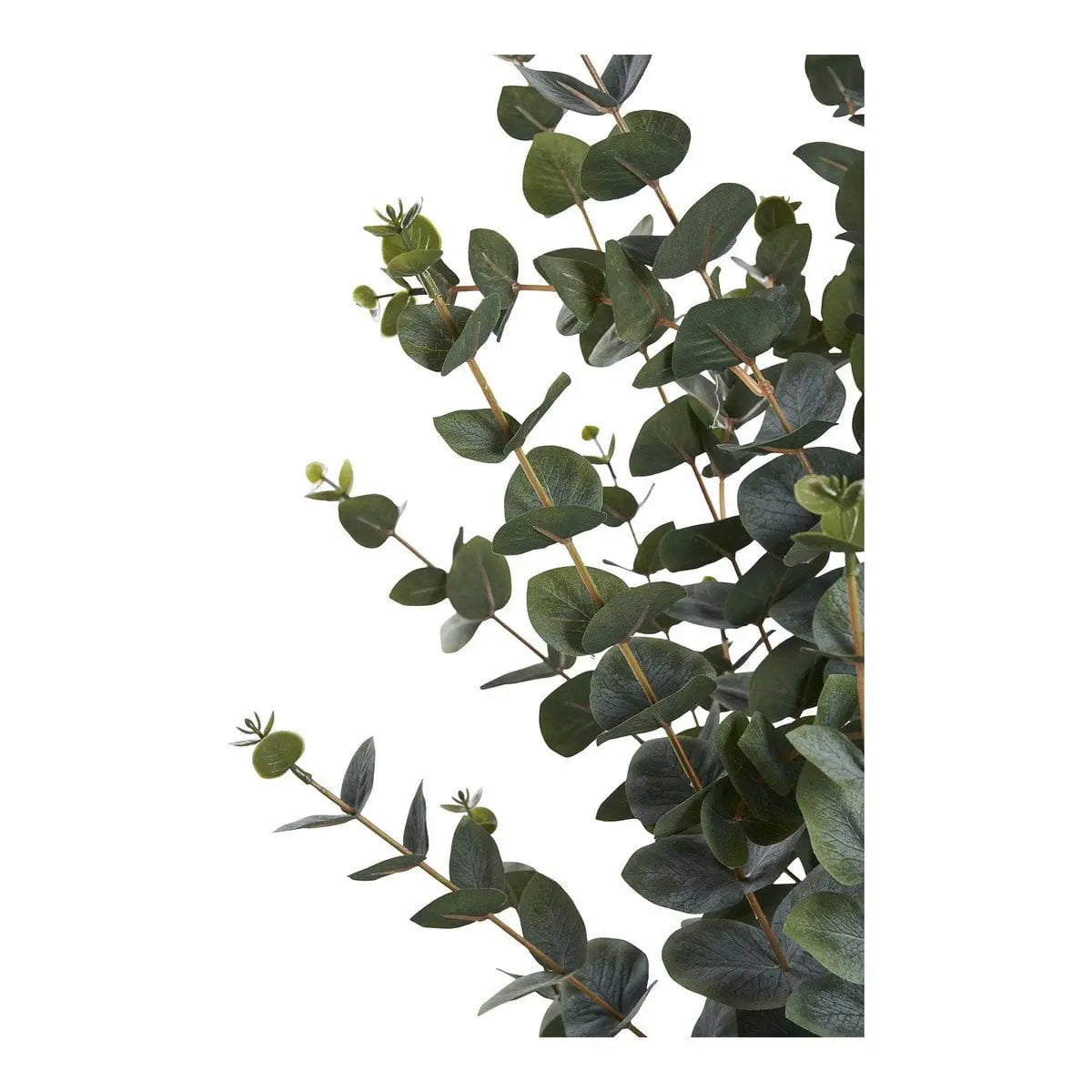 Eucalyptus Tree - Green, PE Plastic, Polyester, Wire, Cement, 120cm by EMIRELLE