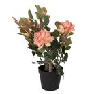 Künstliche Pflanze Rose 20x20x55 cm Rosa Kunststoff von Clayre & Eef.