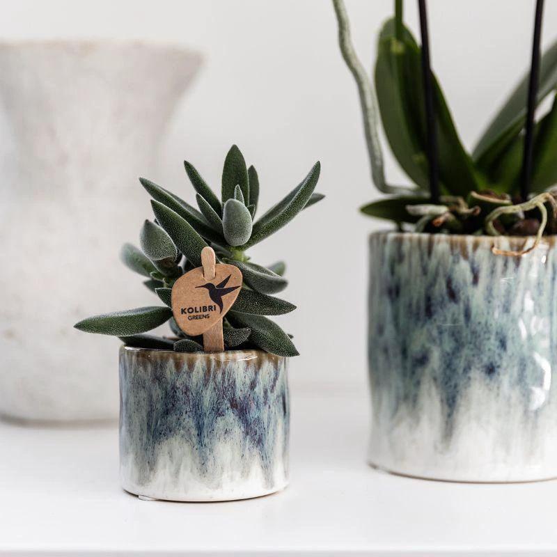 Hummingbird Home | Sky pot - Ø9cm by Kolibri Company