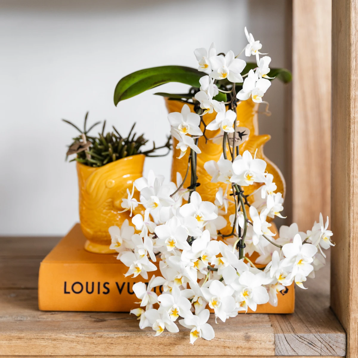 Kolibri Home | Fish - Orange - Ø6cm by Kolibri Company