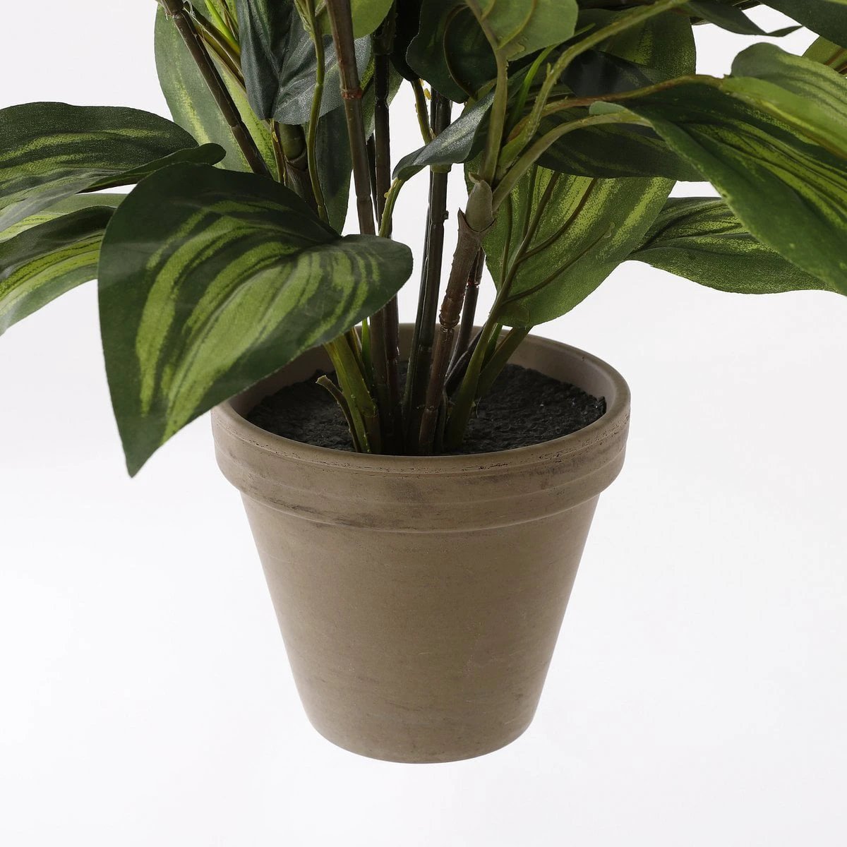Artificial plant Hosta Green by Mica Decorations