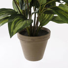 Artificial plant Hosta Green by Mica Decorations