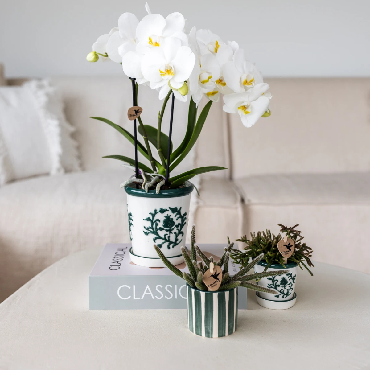 Kolibri Home I Malaga pot - Green - Ø6cm by Kolibri Company