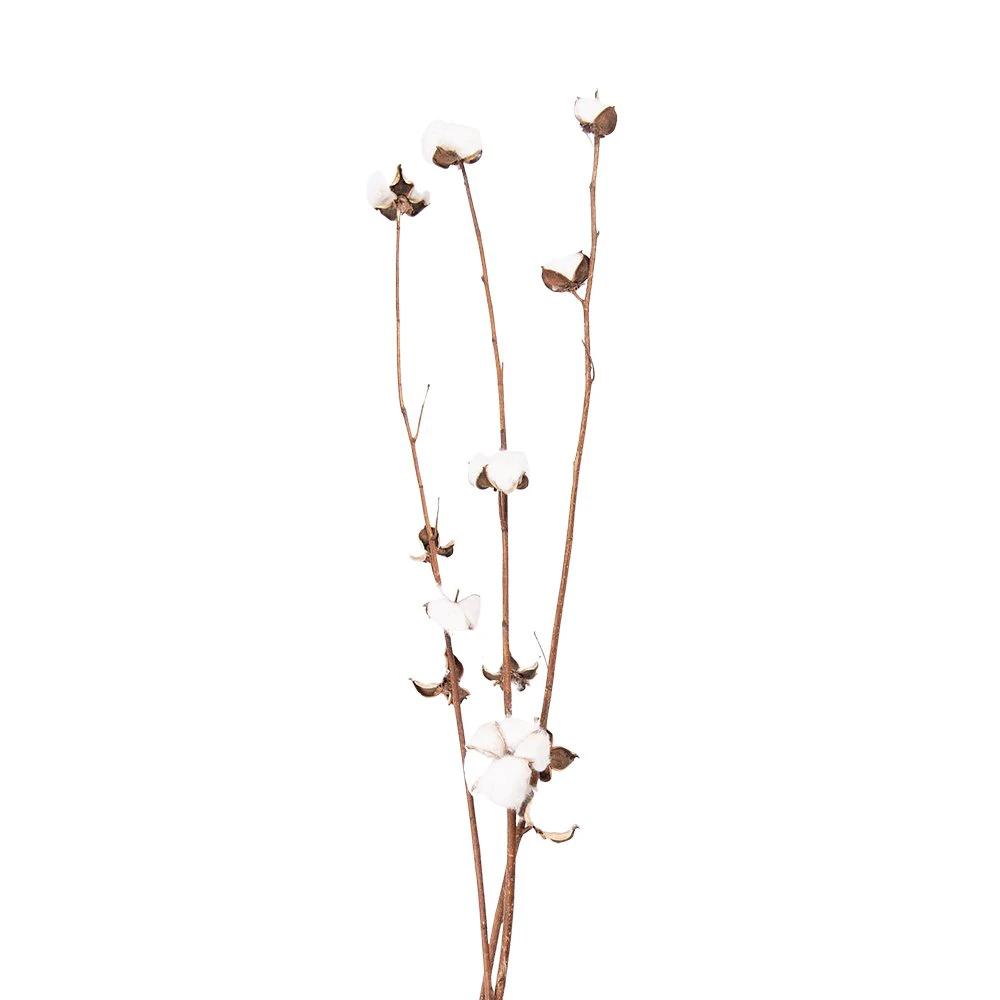 Trockenblumen 80 cm (3) von Clayre & Eef.