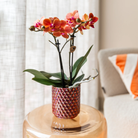 Kolibri Home | Diamond pearl sierpot - Red - Ø6cm by Kolibri Company