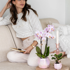 Kolibri Home I Pearl pot - Pink - Ø9cm by Kolibri Company