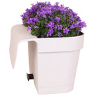Campanula Addenda Ambella Intense Purple – Balkon-Eimer Weiß mit 3 Stück Campanula, Topfgröße 12 cm – inkl. Aufhängesystem – Glockenblume Purpur – Stauden – Gartenpflanzen von Kolibri Company