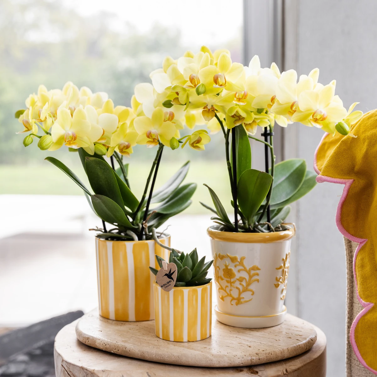 Hummingbird Home | Painted stripe - Yellow - Ø6cm by Kolibri Company