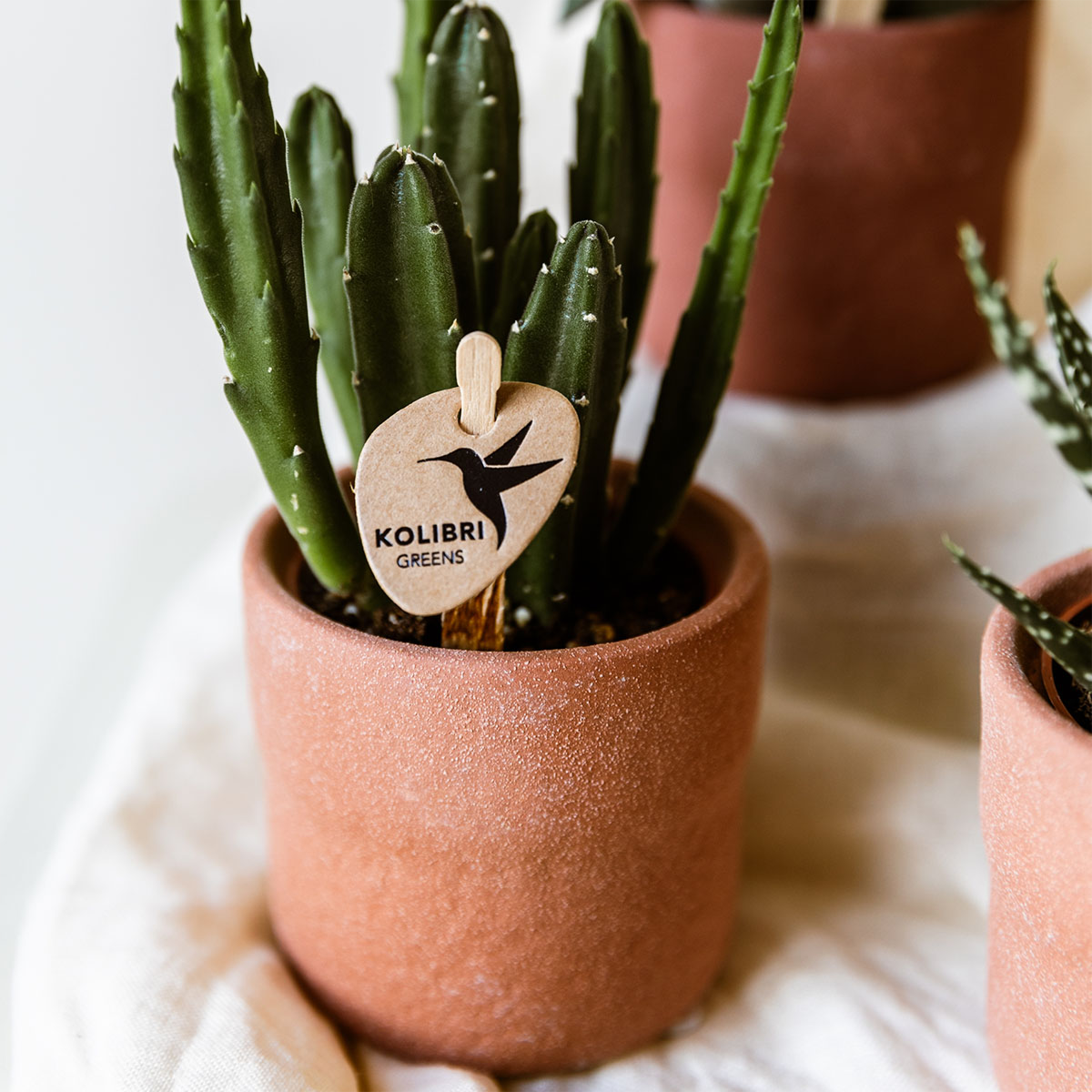 Kolibri Home | Rustic sierpot - Burned Orange - Ø6cm by Kolibri Company