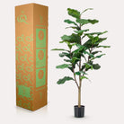 Artificial plant - Ficus Lyrata - Tobacco plant - 120 cm by Green boutiQ