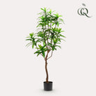 Art plant - Dracaena - Dragon tree - 130 cm by Green boutiQ