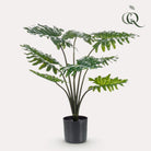 Artificial plant - Philodendron - 60 cm by Green boutiQ